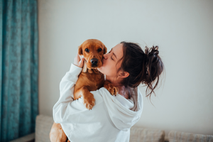 Herbal Support Drops: A Gentle Addition to Your Dog's Daily Routine