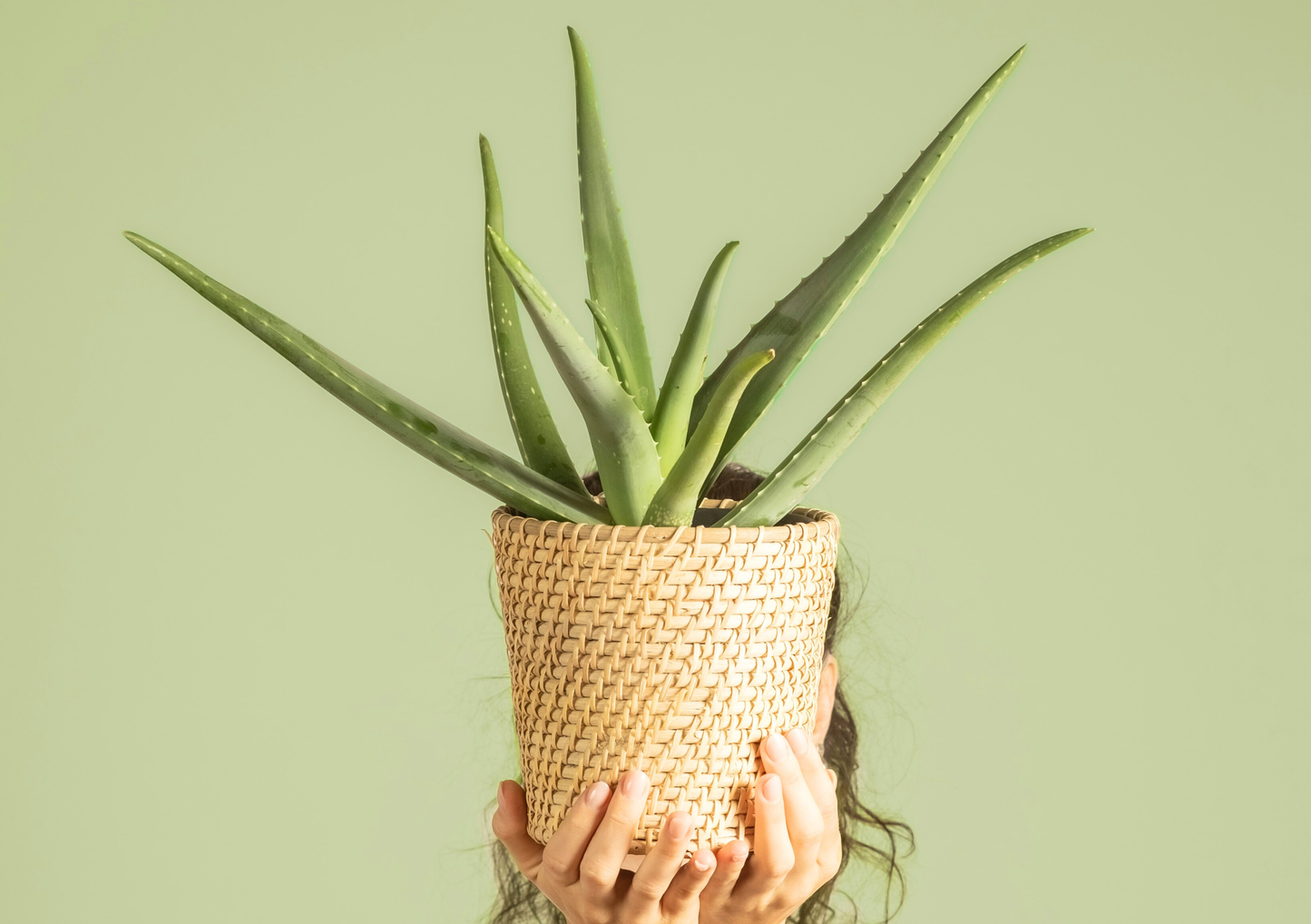 What Makes Colloidal Silver Aloe Hydrogel with Lavender Such a Useful Everyday Skin Staple?