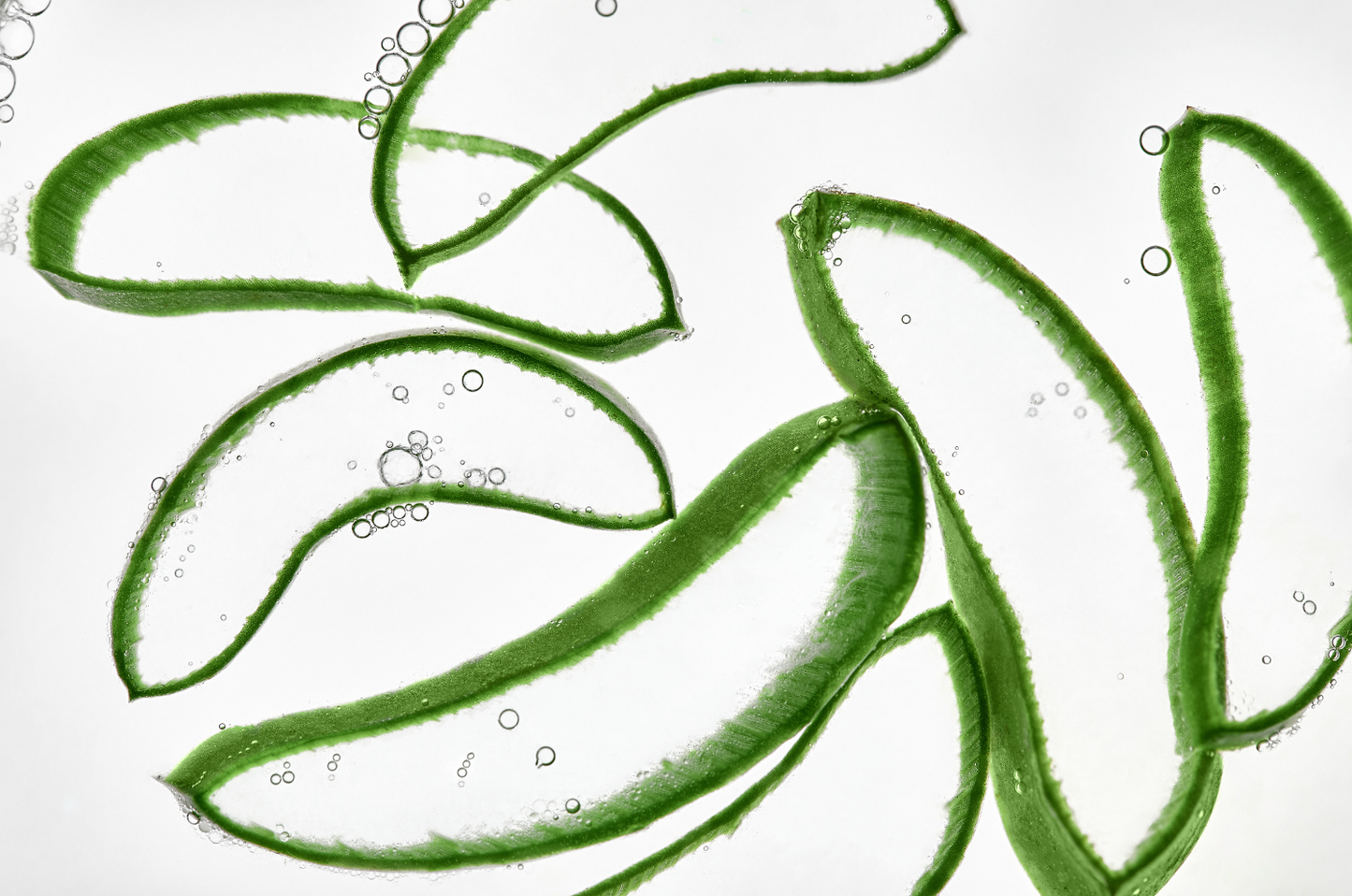 Soothe, Hydrate &amp; Refresh: Discover the Calming Power of Colloidal Silver Aloe Hydrogel