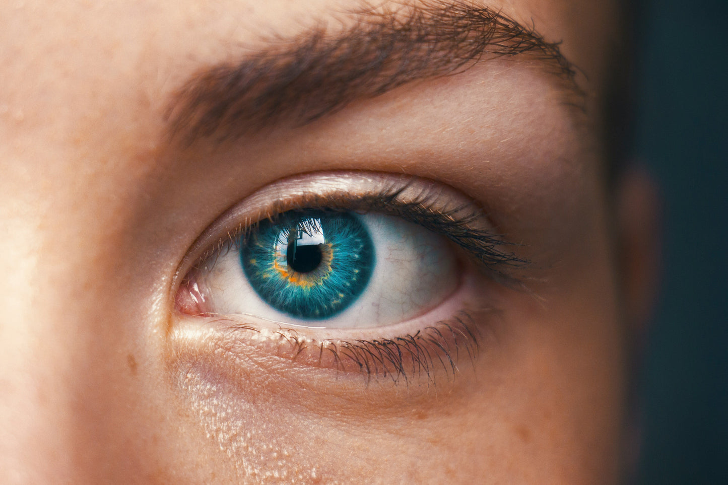 Natural Eye Drops with Colloidal Silver & Euphrasia — What's in the Formula and Why It Matters