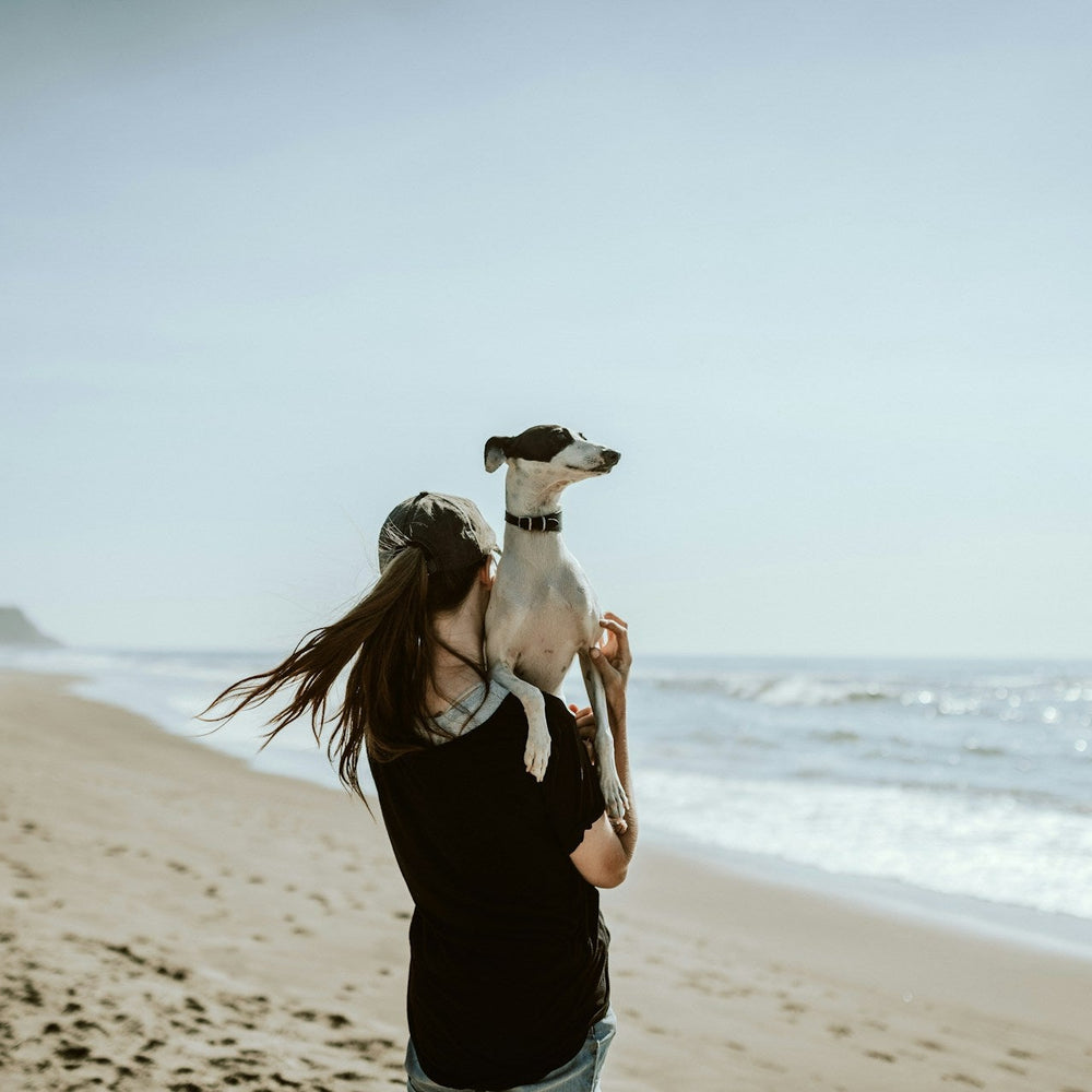 Why More Dog Owners Are Choosing Holistic Skin Care: Natural Relief for Itchy, Irritated Skin