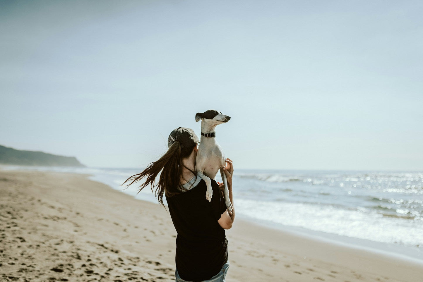 Why More Dog Owners Are Choosing Holistic Skin Care: Natural Relief for Itchy, Irritated Skin