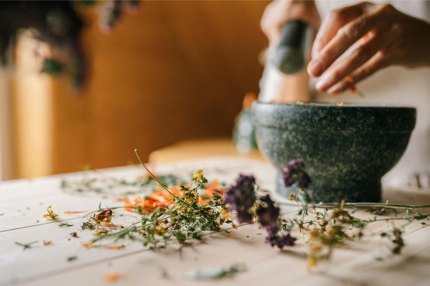 HERBS – medicinal properties and how they work