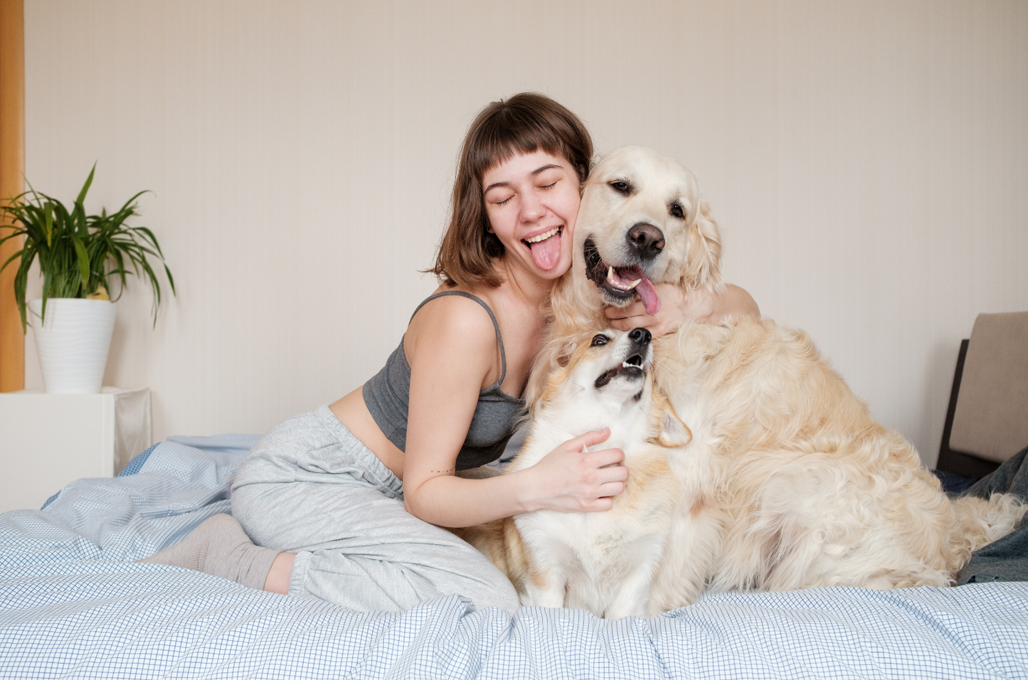 Why Dog Owners Are Choosing Holistic and Natural Pet Care