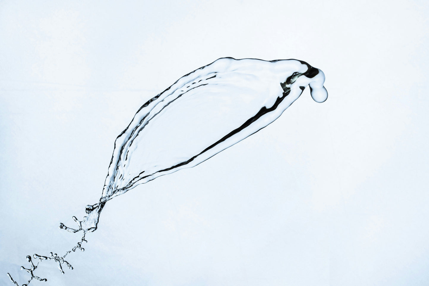 Why the Colloidal Silver 20ppm Range Might Be the Most Versatile Skincare Collection You Own