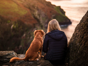 What Every Dog Owner Should Have in Their Walk Bag — A Guide to Post-Walk Skin Care