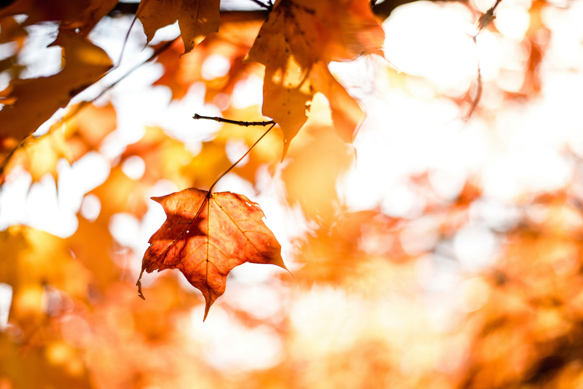 Protecting Your Family's Skin as the Seasons Change