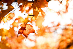 Protecting Your Family's Skin as the Seasons Change