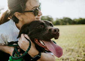 The Pet Grooming Gel That Does More Than You'd Expect