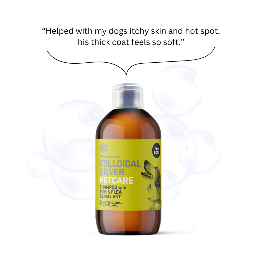 
                  
                    Dog Care Bundle with Tick & Flea Cleansing Shampoo, 20ppm Power Spray & Antibacterial Gel image 2
                  
                