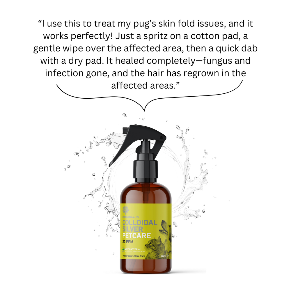 
                  
                    Dog Care Bundle with Tick & Flea Cleansing Shampoo, 20ppm Power Spray & Antibacterial Gel image 4
                  
                