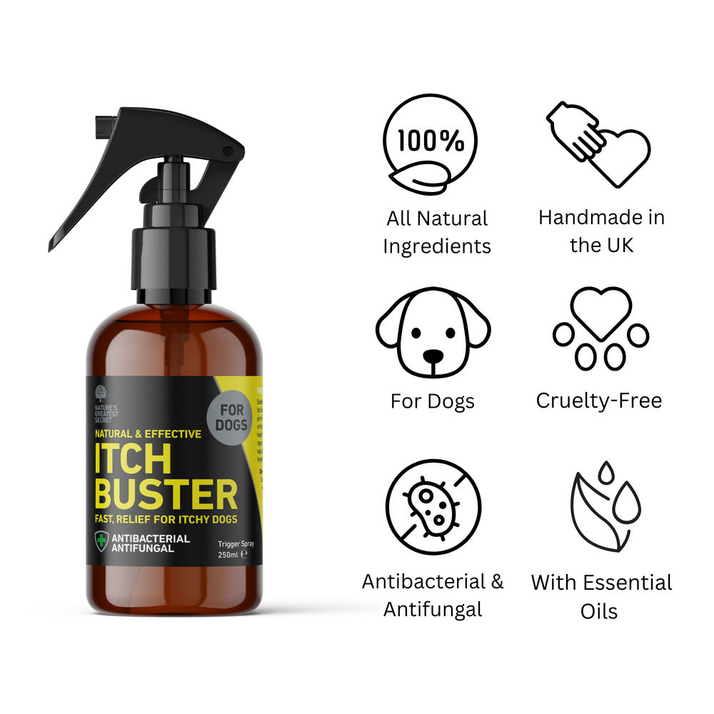 
                  
                    Itch Buster Antibacterial Spray for Dogs – Soothing & Natural Relief - 250ml image 1
                  
                