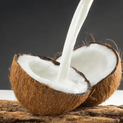 Cocos Nucifera - Coconut Oil
