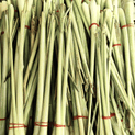 Cymbopogon flexuosus – Lemongrass Oil