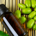 Melia azadirachta – Neem Seed Oil
