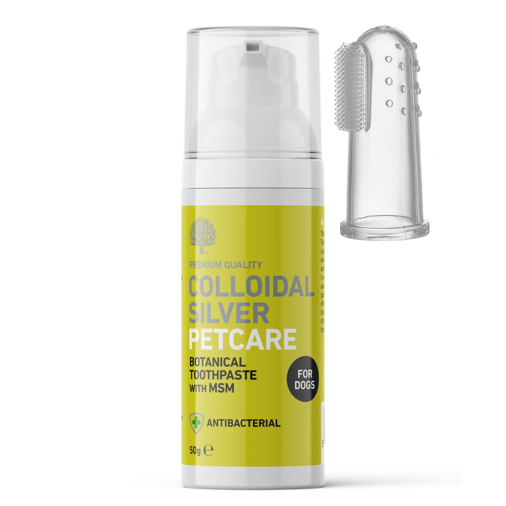 
                  
                    All Natural Colloidal Silver Toothpaste image 3
                  
                