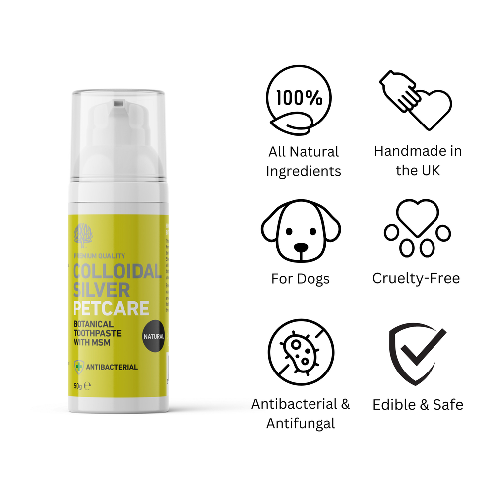 All Natural Colloidal Silver Toothpaste – Nature's Greatest Secret