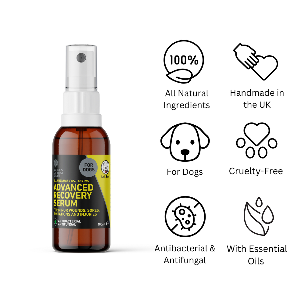 
                  
                    Advanced Recovery Serum for Dogs - 100ml image 1
                  
                